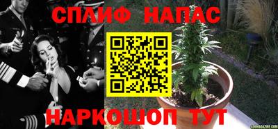 трава Шахты