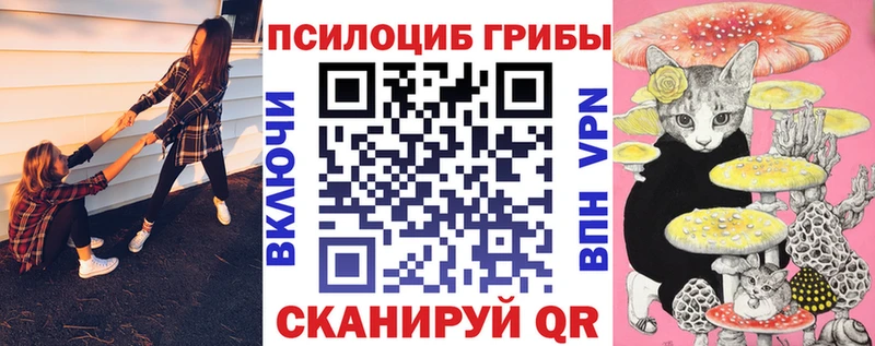 Псилоцибиновые грибы Psilocybe  Купить где  Воронеж 