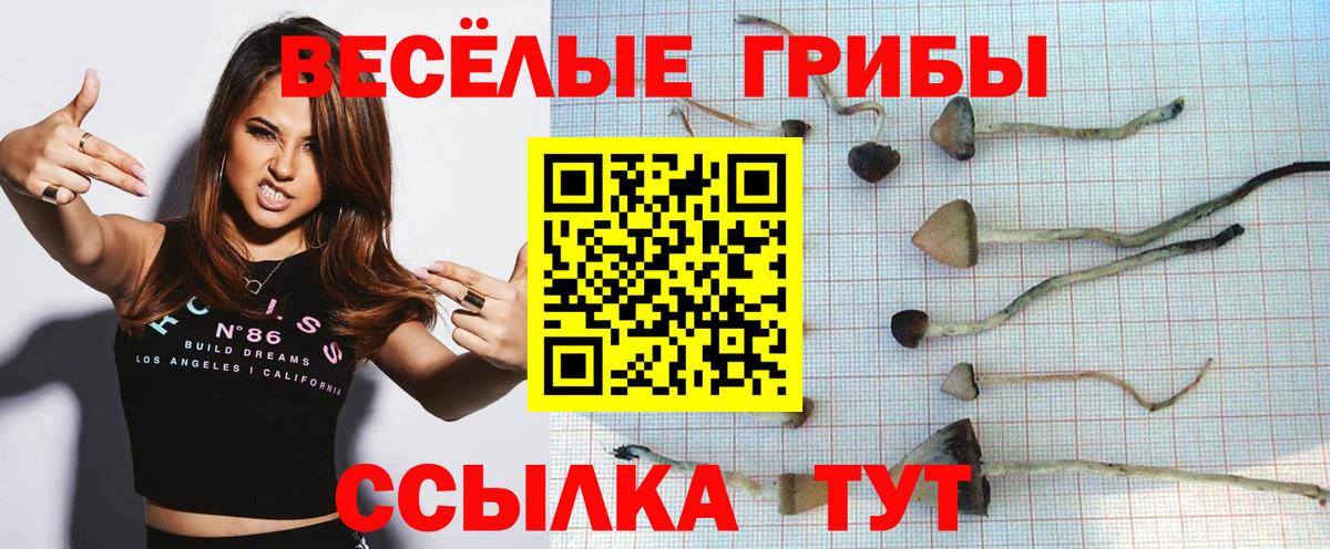 Псилоцибиновые грибы прущие грибы  Воронеж 