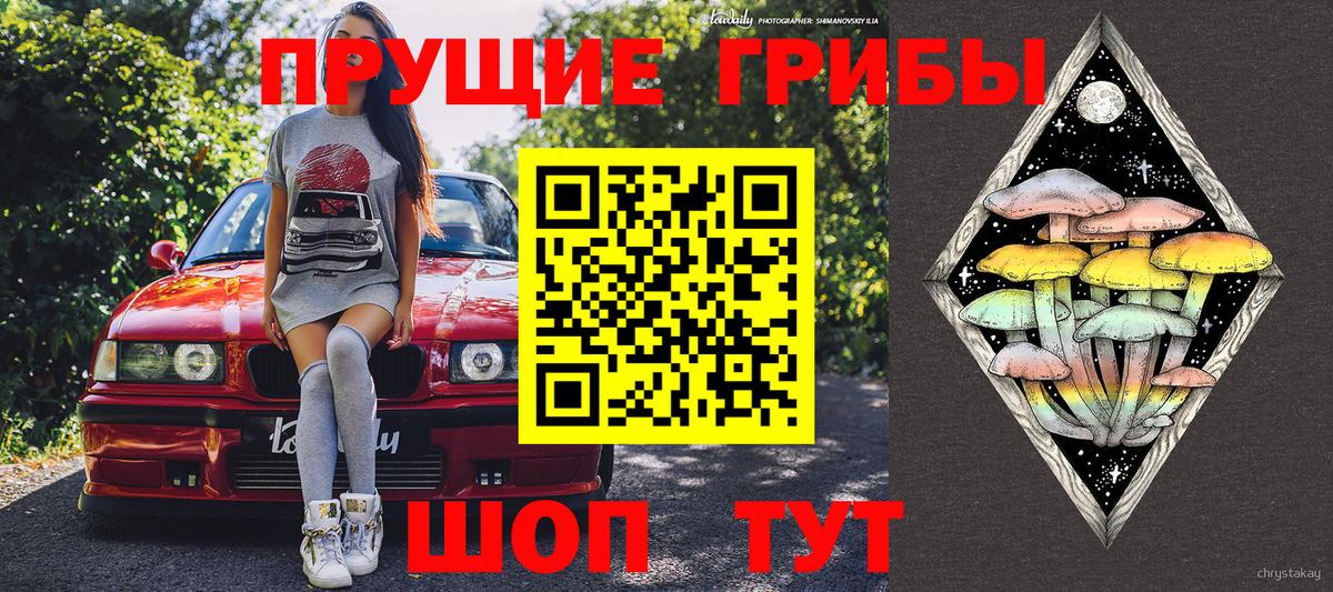 Галлюциногенные грибы Cubensis Воронеж