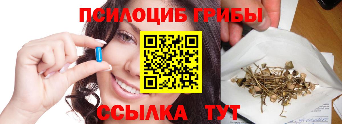 Воронеж  цена   Вход с VPN  Псилоцибиновые грибы Magic Shrooms 