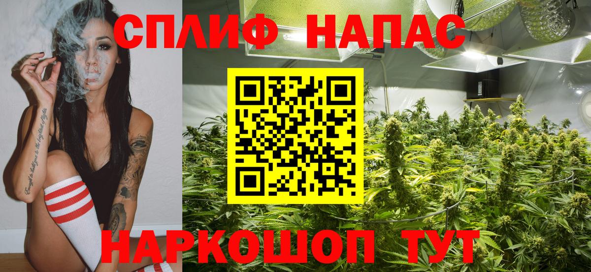 МАРИХУАНА гибрид Воронеж