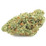 Шишки OG Kush  (Гидропоника, бошки) VHQ в Воронеже